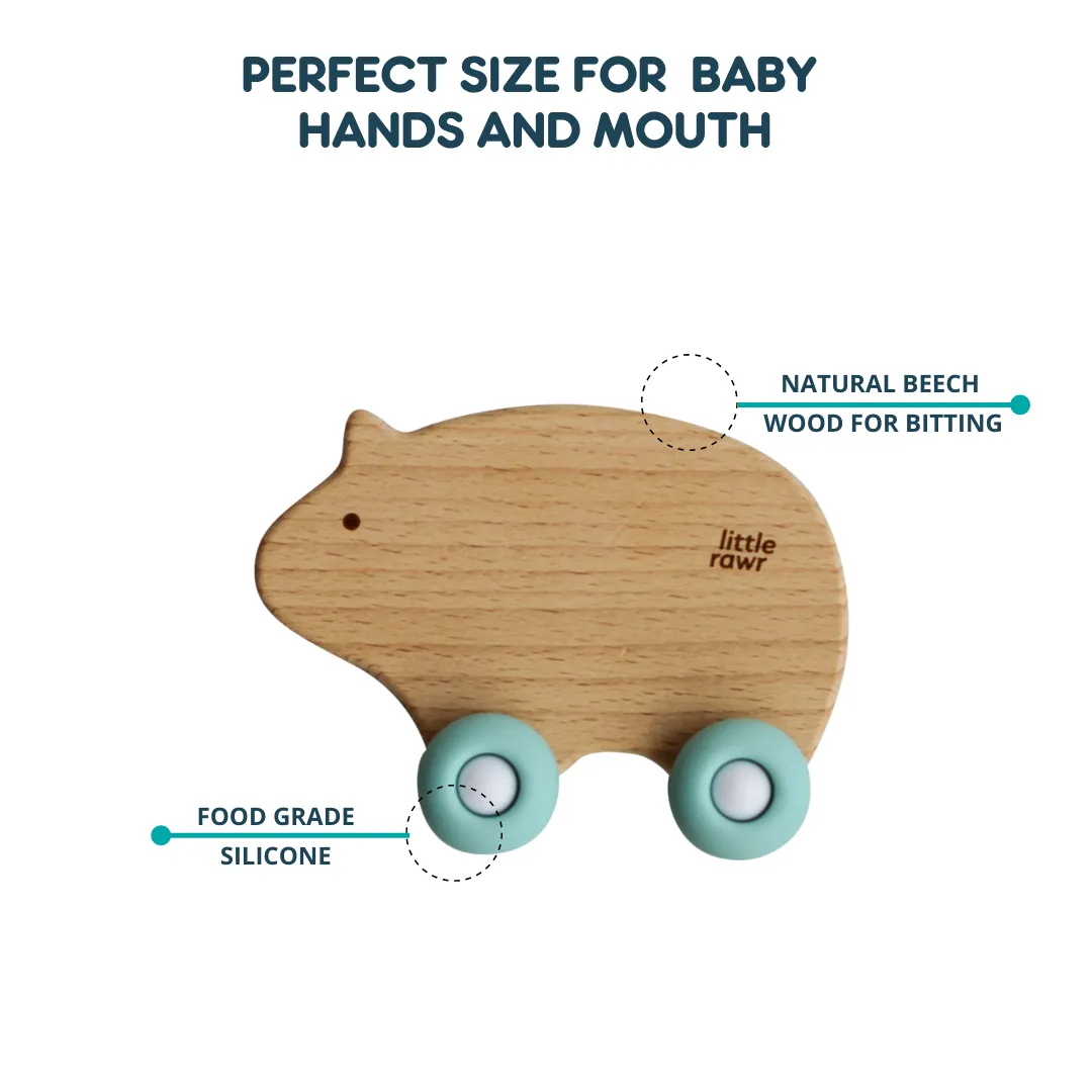 Little Rawr Wood Wheelie Animal- BEAR Shape- Blue