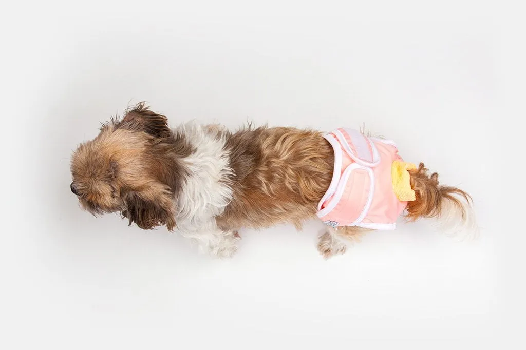 Washable Wonders Female Dog Diaper